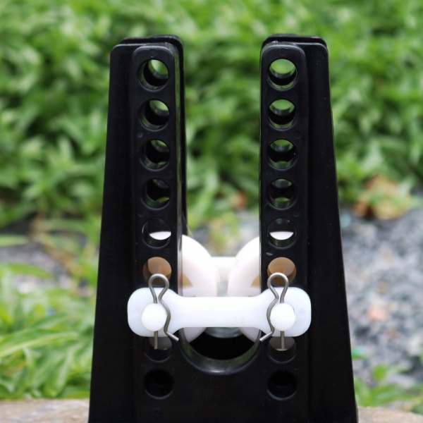 Con lăng tăng đưa loại tốt nhiều màu sắc