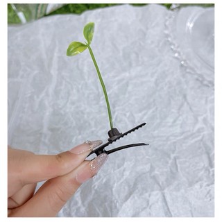🌱🌱🌱 5 Kẹp tóc mầm cây đáng yêu