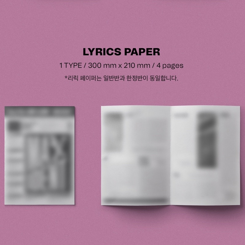 ALBUM RỖNG + SEAL MAXIDENT - STRAY KIDS