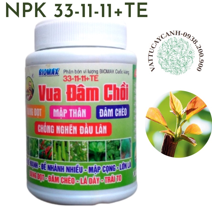 NPK 33-11-11 Vua Đâm Chồi Ra Đọt Đều, Xanh Lá, Chống Nghẽn Đầu Lân, Vươn Đọt Cao - Hủ 100g