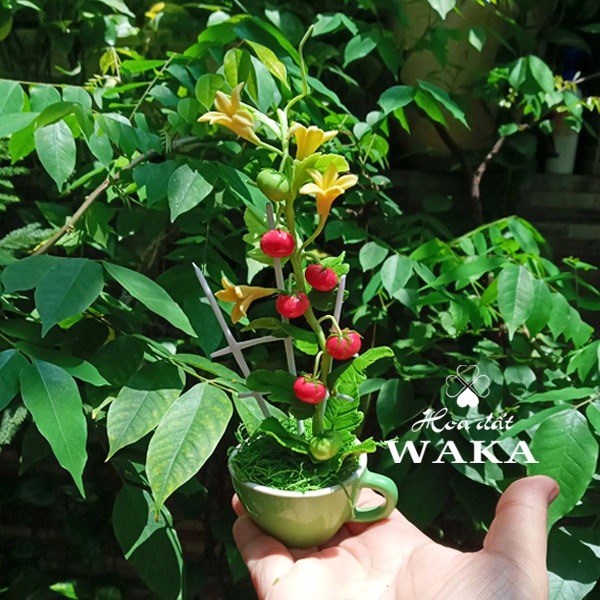 Hoa Đất Sét Mini - Giàn Cà Chua Mini