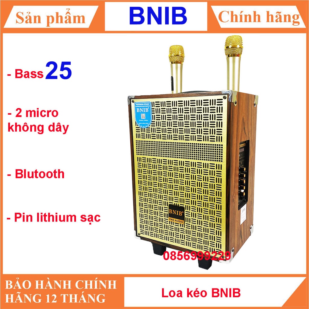 Loa kéo Bluetooth karaoke BNIB Bass 25 - Tặng 2 Mic kiểu dáng đẹp
