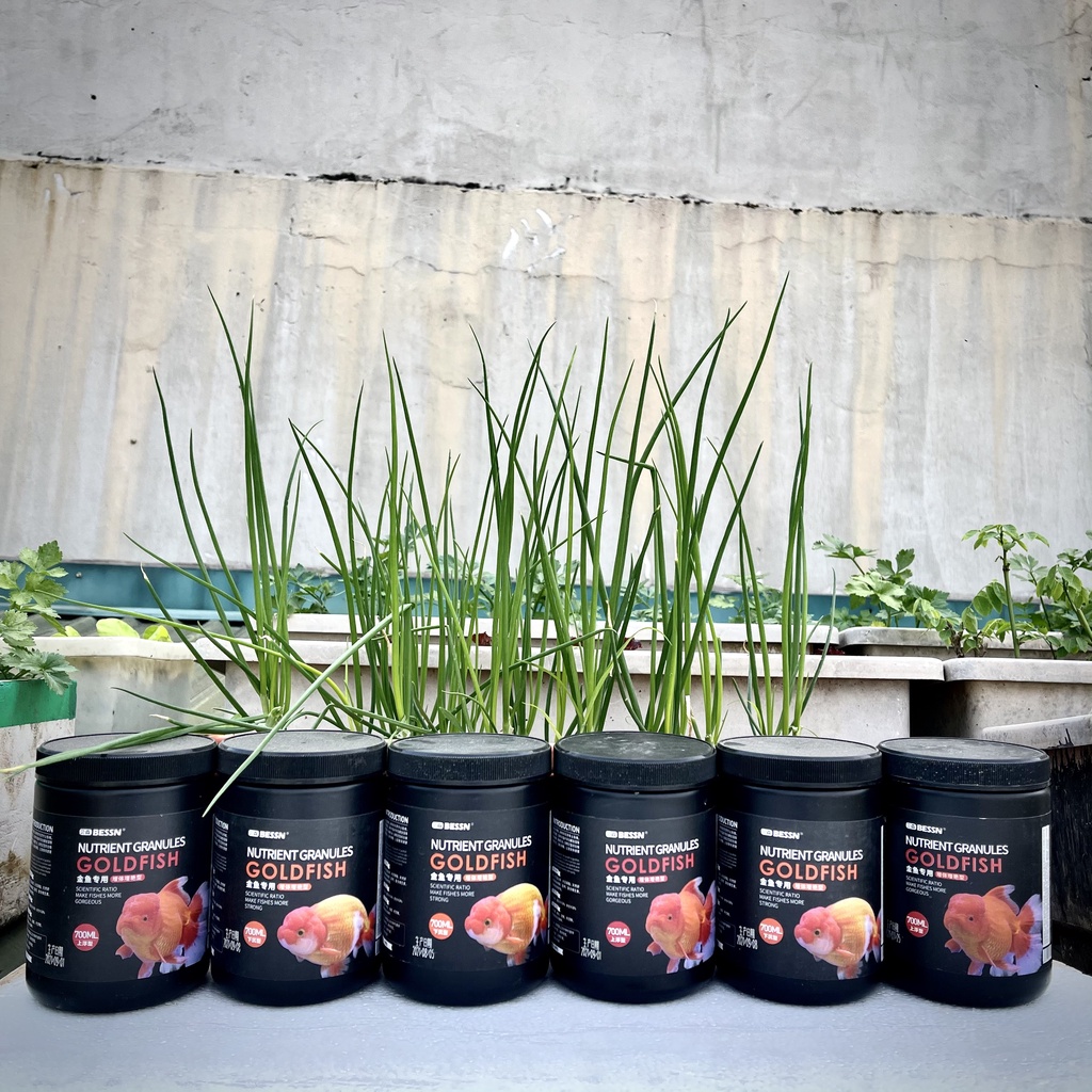 BESSN- Thức ăn cho cá vàng!