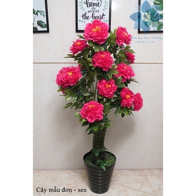CÂY GIẢ - CÂY HOA MẪU ĐƠN CAO 1,6M