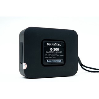 Loa Bluetooth SoundMax R300