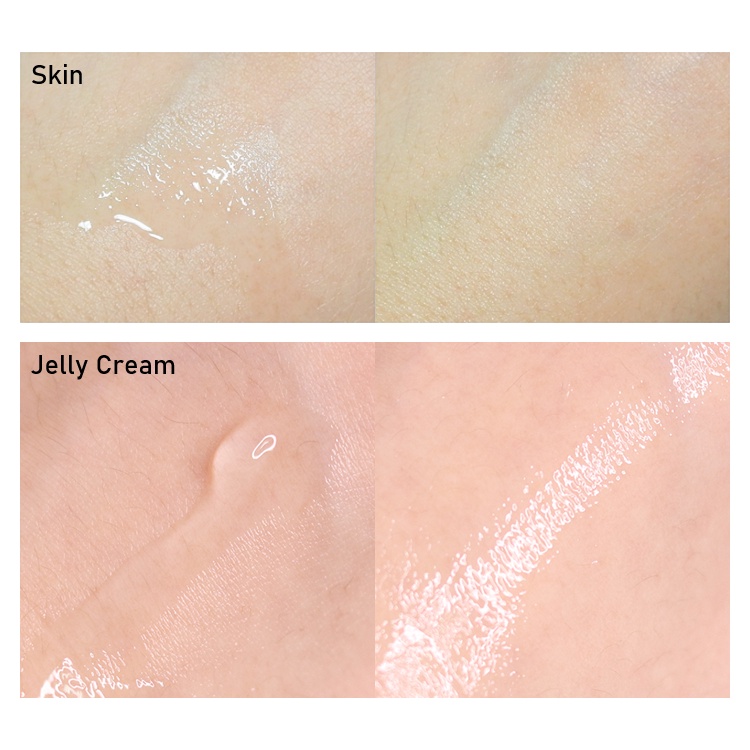 Bộ Sưu Tập Hoa Anh Đào jeju   Bộ Sưu Tập Hoa Anh Đào