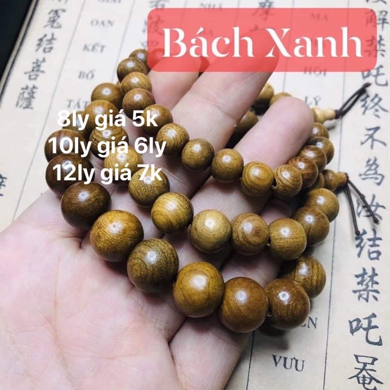 vòng tay gỗ bách xanh