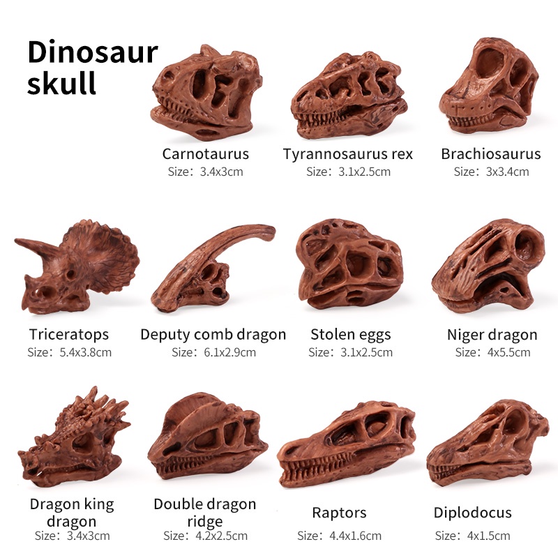 Mô Hình Xương Người / Kiến Trúc / Kim Tự Tháp Ai Cập / Aerospace Đồ Chơi Giáo Dục Sớm Cho Bé