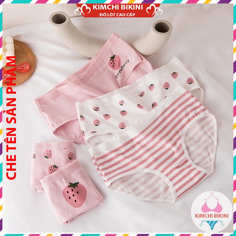 Quần nót nữ cotton cạp to dễ thương KIMCHIBIKINI quần nhỏ nữ vải mềm in hình dễ thương QL028