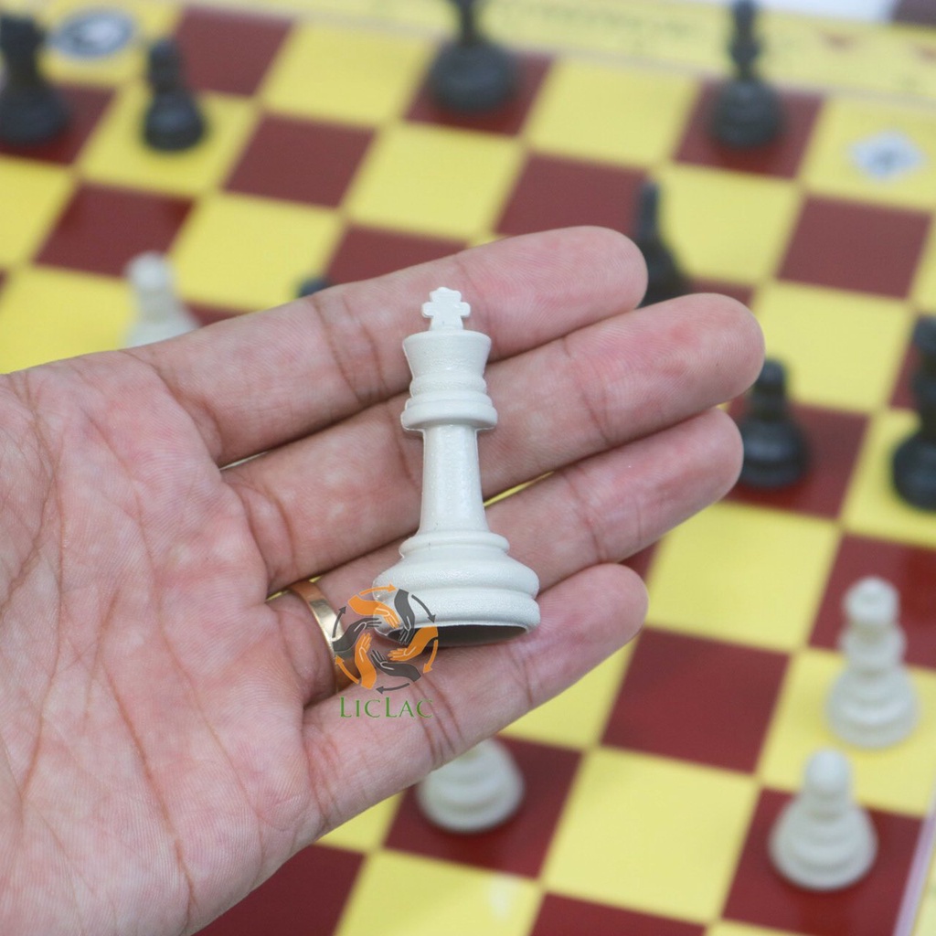 Cờ vua bằng nhựa, đồ chơi trí tuệ cho bé, boardgame rèn luyện trí não, trò chơi trẻ em cao cấp không độc hại - Home Baby