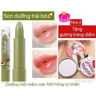 🥑 son dưỡng bơ hasaya girl 🥑🥑 🥑son dưỡng chiết xuất từ bơ chính hãng cty thái lan🥑