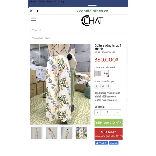 Pass quần suông Cchat Clothes size L new