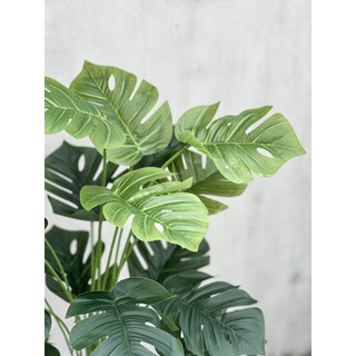 Cây giả - cây lá rùa lón 18 lá decor trang trí nhà cửa, văn phòng | hà hoa flower