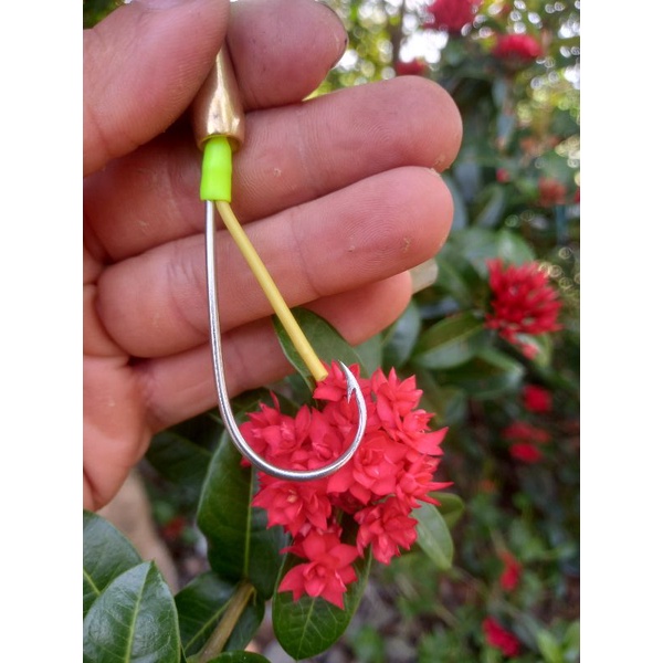 lưỡi câu trứng rùa lai được làm từ Thép ar15