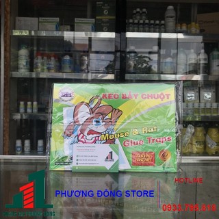 Combo 10 miếng keo dính chuột giấy