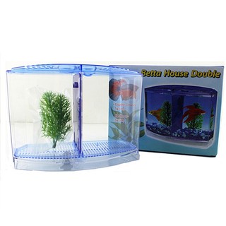 Hồ cá mini trang trí bể cá , hồ cá, thủy sinh TS35