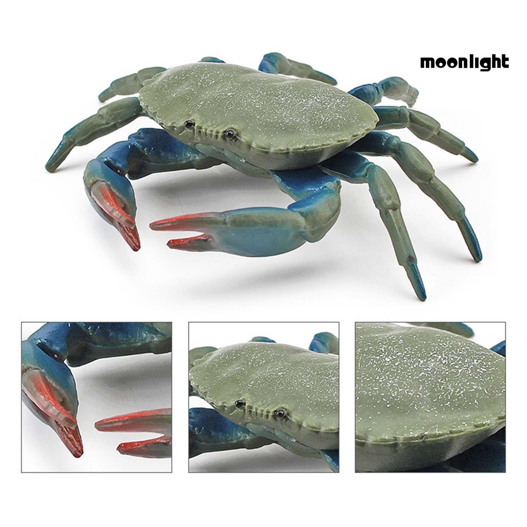 Đồ Chơi Mô Hình Con Cua Tạo Hình Phát Triển Trí Thông Minh Cho Trẻ Em