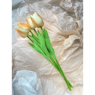 Hoa Tulip cao su cao cấp (1 cành)