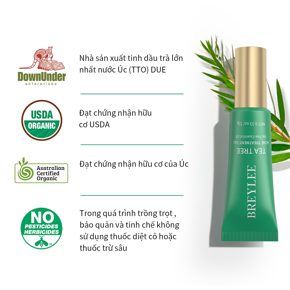 Gel BREYLEE Hỗ Trợ Chăm Sóc Da Và Loại Bỏ Pimples 0.53 oz / 15g