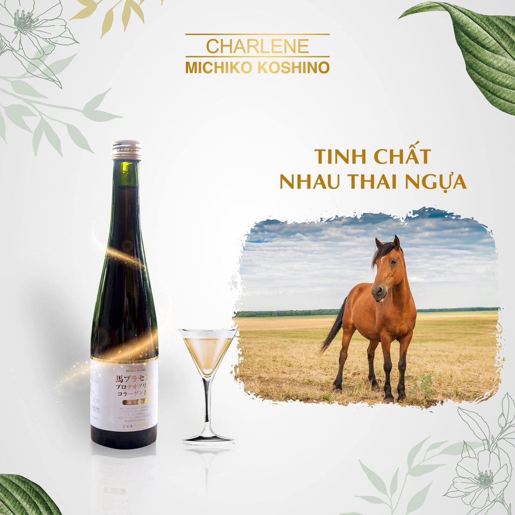 Nước Uống Collagen Nhau Thai Ngựa Charlene Michiko Koshino
