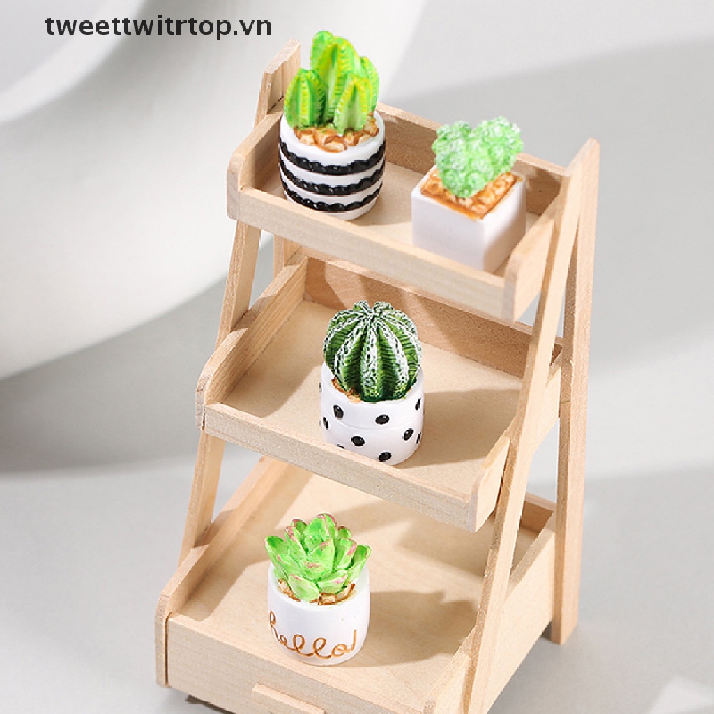 Chậu Cây Xương Rồng Mini Trang Trí Nhà Búp Bê