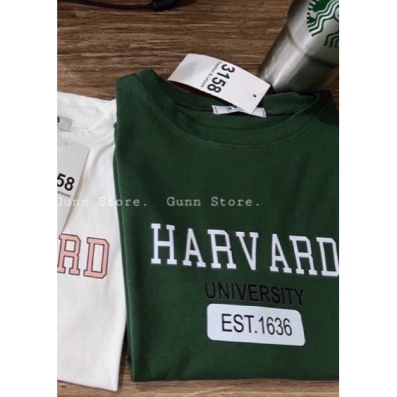 Áo Thun Tay Lỡ Cotton Khô 3158 Form Rộng Nam Nữ HARVARD