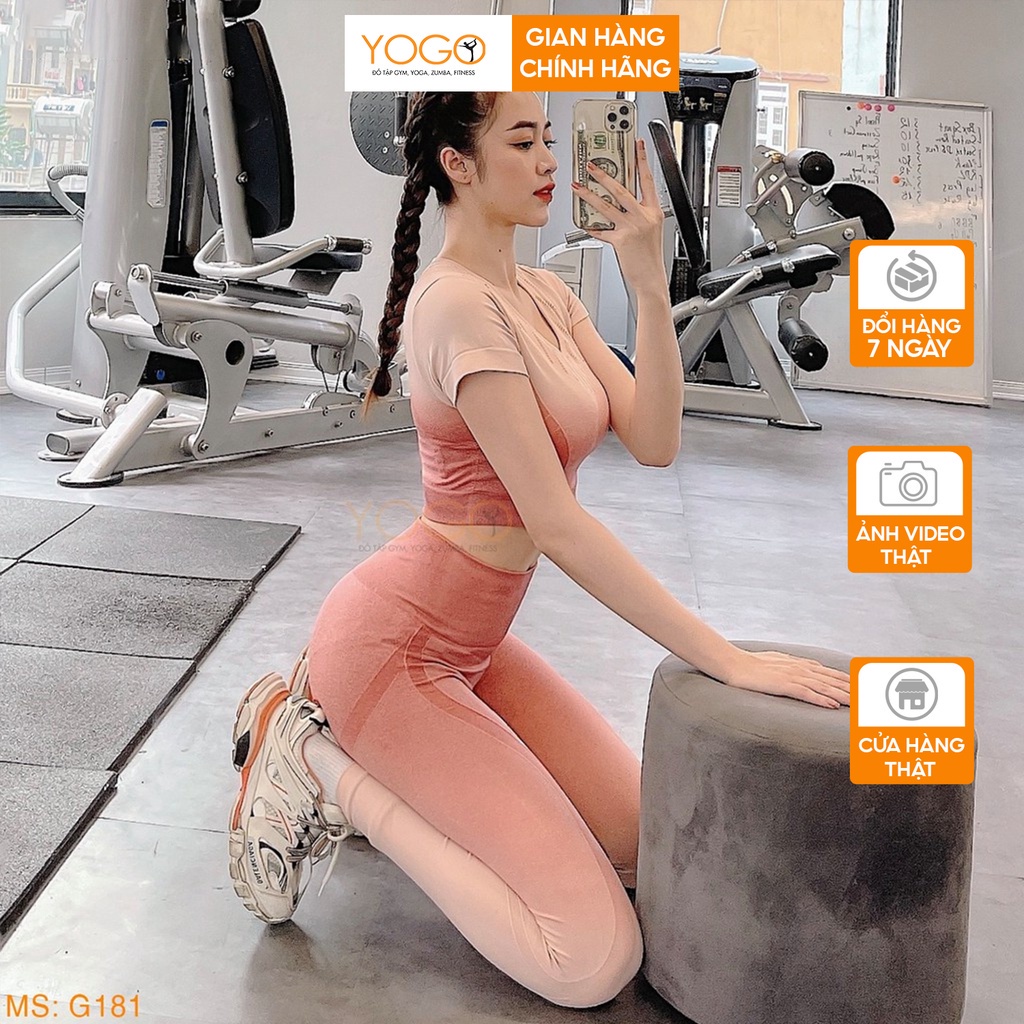 Set đồ thể thao omber nữ áo thun tay ngắn tập gym quần legging cạp cao gen bụng nâng mông co giãn YOGO G181