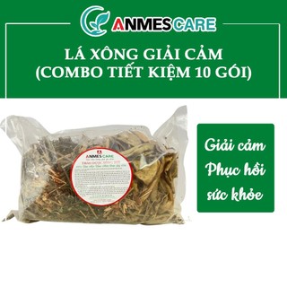  Lá Xông Giải Cảm - Xông Thông Mũi/ Họng - Phục Hồi Thể Lực - ANMESCARE