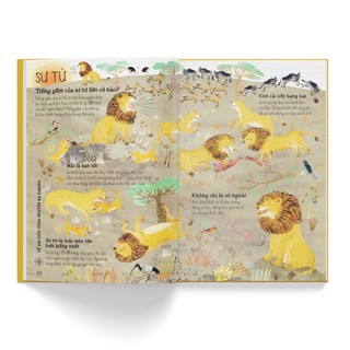 Bộ sách A Lê Hấp - Bộ 5 cuốn