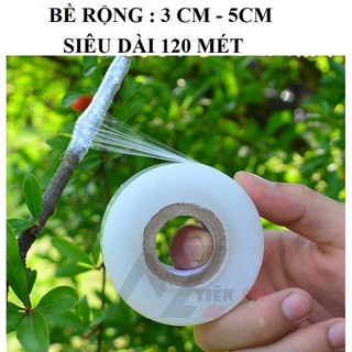 Băng keo ghép cành tự dính, cuộn pe ghép cây 3cm và 5cm