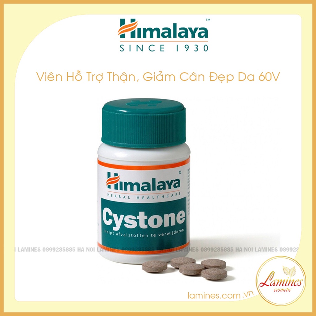 Himalaya Cystone - Viên hỗ trợ Thận của Himalaya | 60 Viên