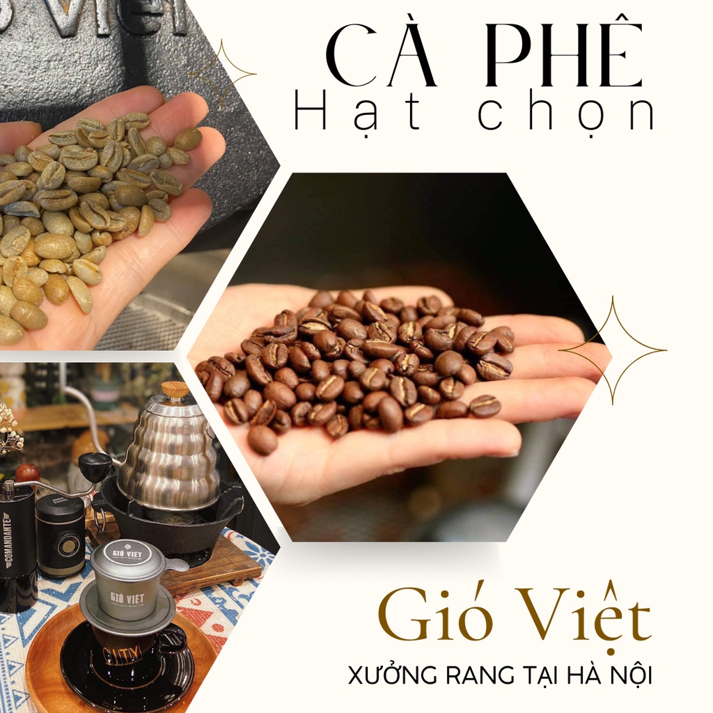 THA Oro yeast Fermentation  Cầu Đất- Radar Farm sơ chế  Natural- Gió Việt Coffee 250g