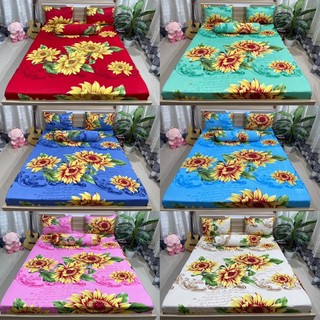 Bộ drap thun hàn quốc mẫu hoa hướng dương rực rỡ đón tết