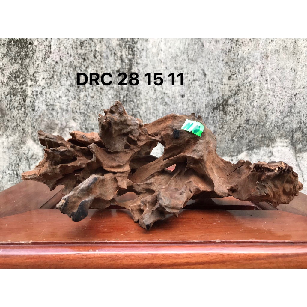 Gỗ lũa TRANG TRÍ setup hồ bán cạn, Terrarium,....