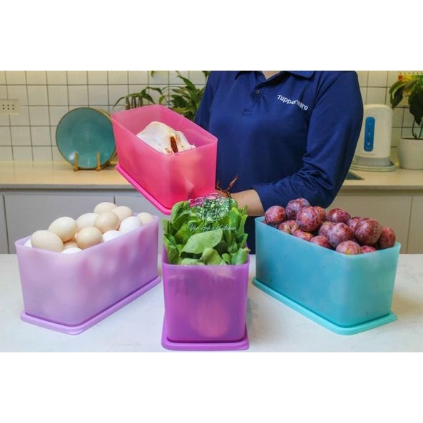 Bộ trữ mát funtastic Tupperware 3.1l nhựa nguyên sinh hàng chính hãng