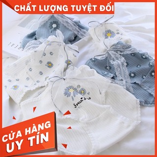 Quần lót nữ cotton tăm CAO CẤP hoa cúc Phối nơ XINH XẮN - Quần chip nữ dễ thương