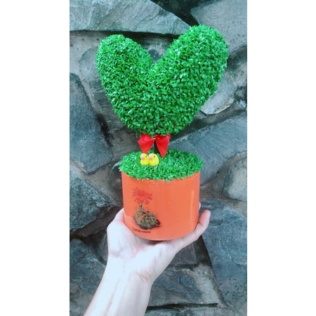 Chậu May Mắn Trái Tim