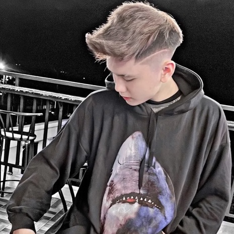 Áo hoodie, áo nỉ có mũ in họa tiết cá mập trước ngực cho boy phố