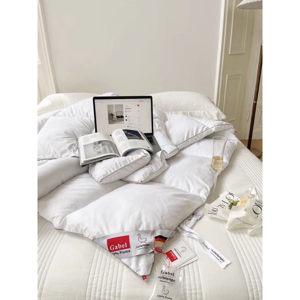 Ruột chăn lông vũ Gabel cao cấp 2mx2m3 100% sợi lông vũ kháng khuẩn Dreamhome
