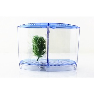 Hồ cá mini trang trí bể cá , hồ cá, thủy sinh TS35