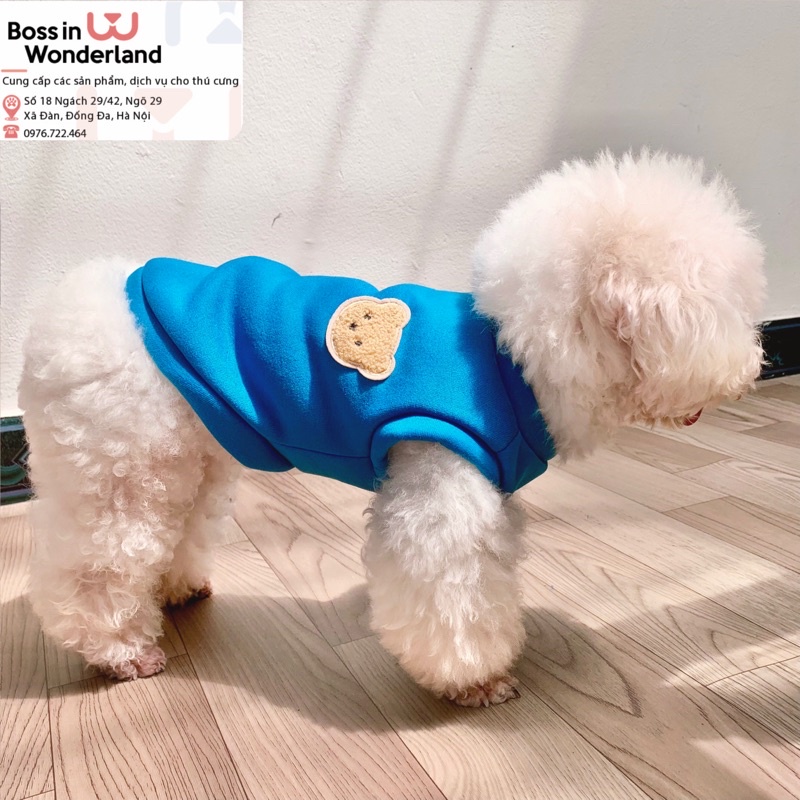 Áo nỉ bông gấu ba lỗ cho thú cưng