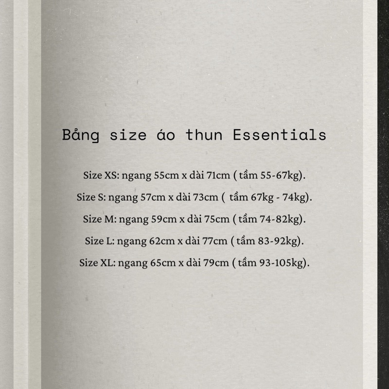 Áo thun ESSENTIALS 2022 - Chữ in nhung