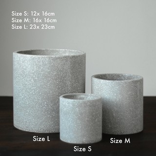 Chậu trồg cây trong nhà Xi măng