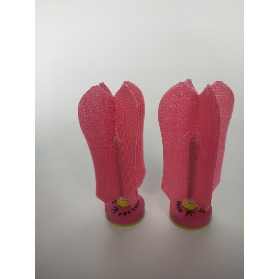 Cầu Đá Song Yến 202