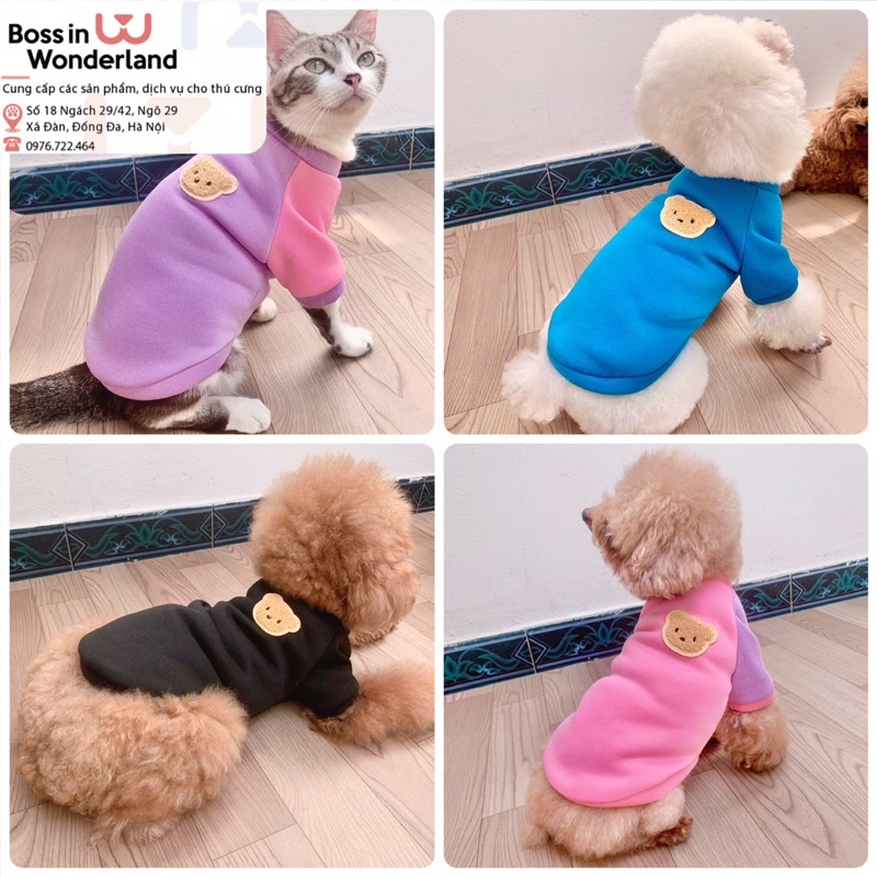 Áo nỉ bông gấu dài tay cho thú cưng