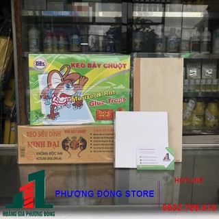 Combo 10 miếng keo dính chuột giấy