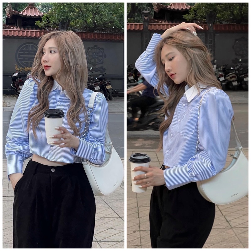 [SẴN] ÁO SƠ MI KẺ SỌC PHỐI CỔ TRẮNG DÀI TAY DÁNG CROPTOP