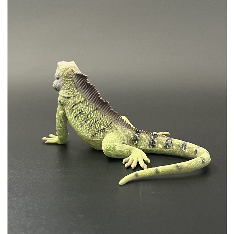 Mô Hình Đồ Chơi Động Vật Mô Phỏng iguana 2022 88965