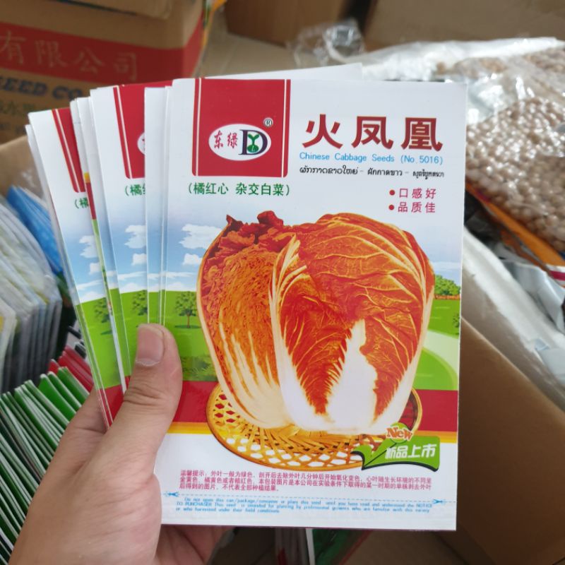 Hạt giống cải thảo đỏ. Hàng Trung Quốc. Gói 5 gram. Tỉ lệ nảy mầm cao
