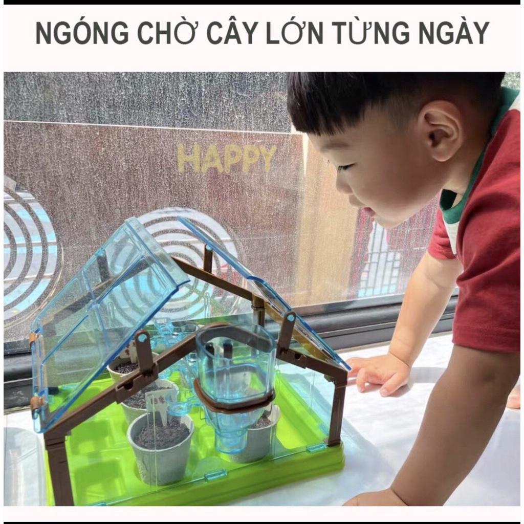Đồ chơi Trồng cây trong nhà kính mini giúp bé theo dõi sự nảy mầm và phát triển của cây, yêu thiên nhiên hơn